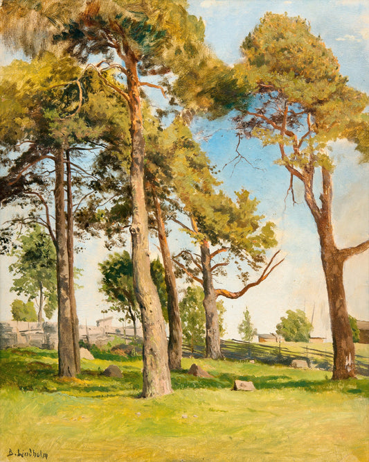 Berndt Lindholm