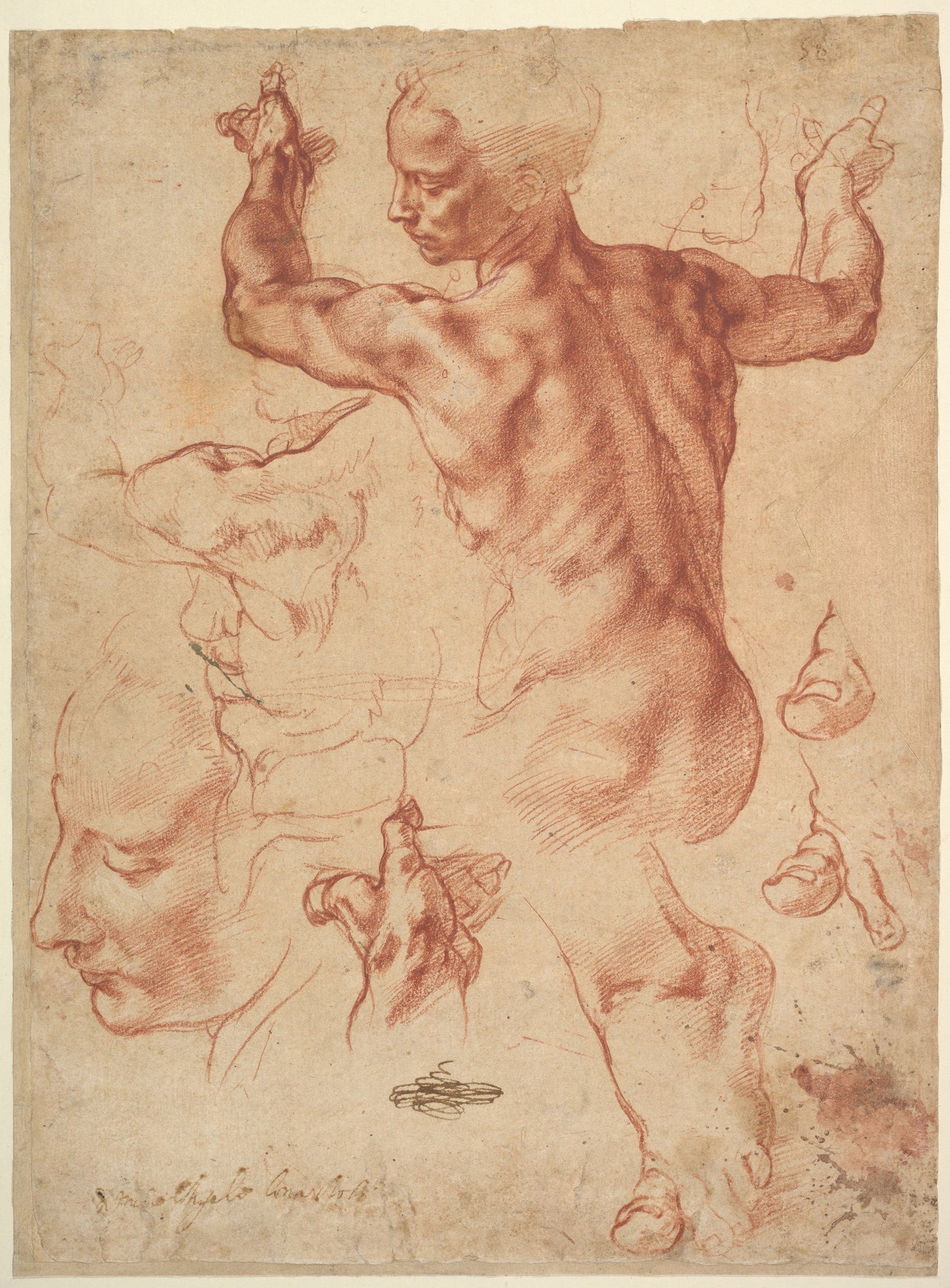 Michelangelo